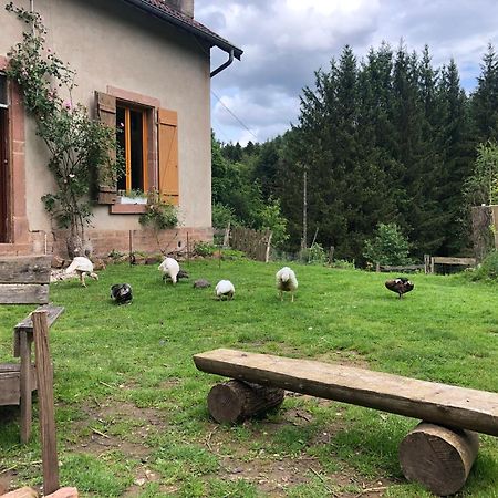 Saint-Sauveur  A L'Oree De Soi - Maison Forestiere De La Soie - Eco Gite, Chambres D'Hotes, Camping Au Pied Des Vosges מראה חיצוני תמונה