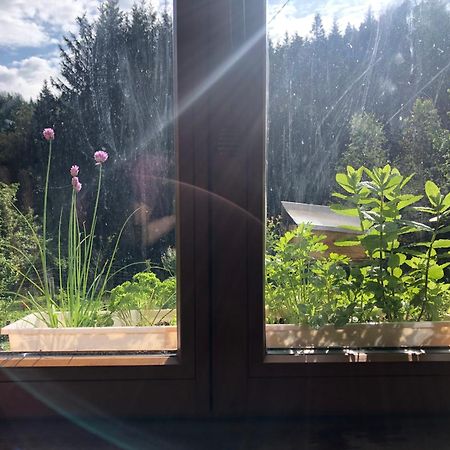 Saint-Sauveur  A L'Oree De Soi - Maison Forestiere De La Soie - Eco Gite, Chambres D'Hotes, Camping Au Pied Des Vosges מראה חיצוני תמונה