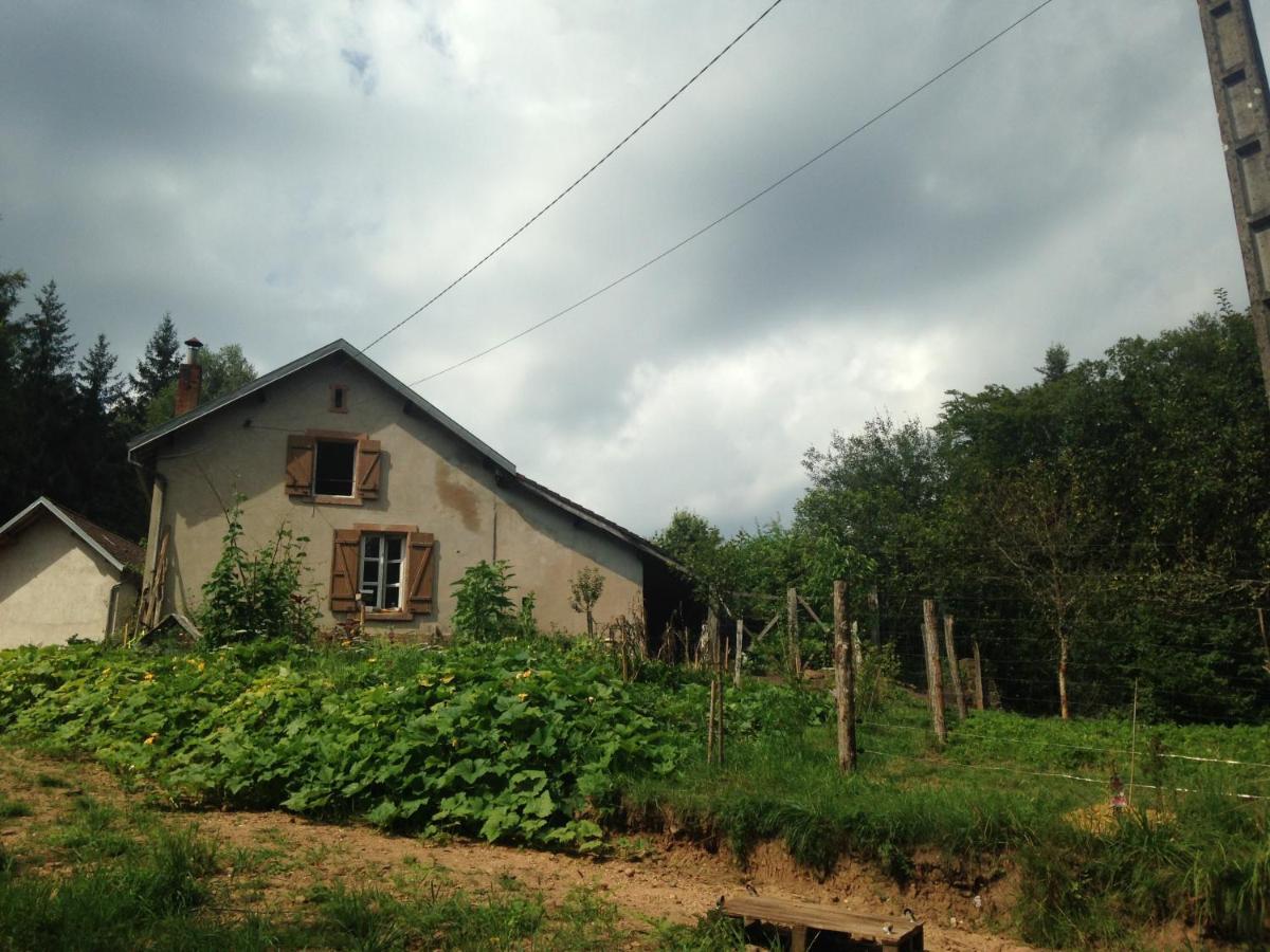 Saint-Sauveur  A L'Oree De Soi - Maison Forestiere De La Soie - Eco Gite, Chambres D'Hotes, Camping Au Pied Des Vosges מראה חיצוני תמונה