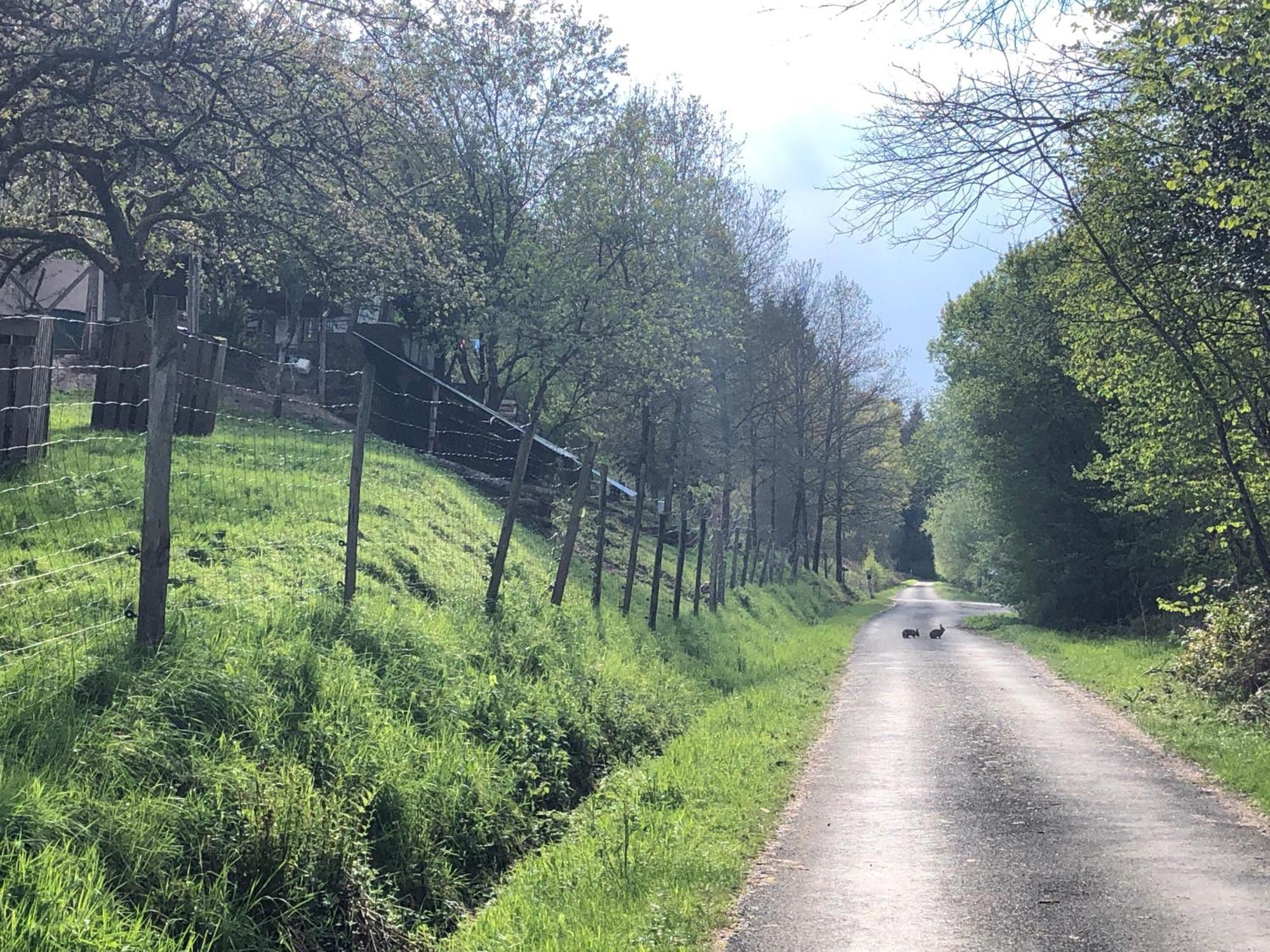 Saint-Sauveur  A L'Oree De Soi - Maison Forestiere De La Soie - Eco Gite, Chambres D'Hotes, Camping Au Pied Des Vosges מראה חיצוני תמונה