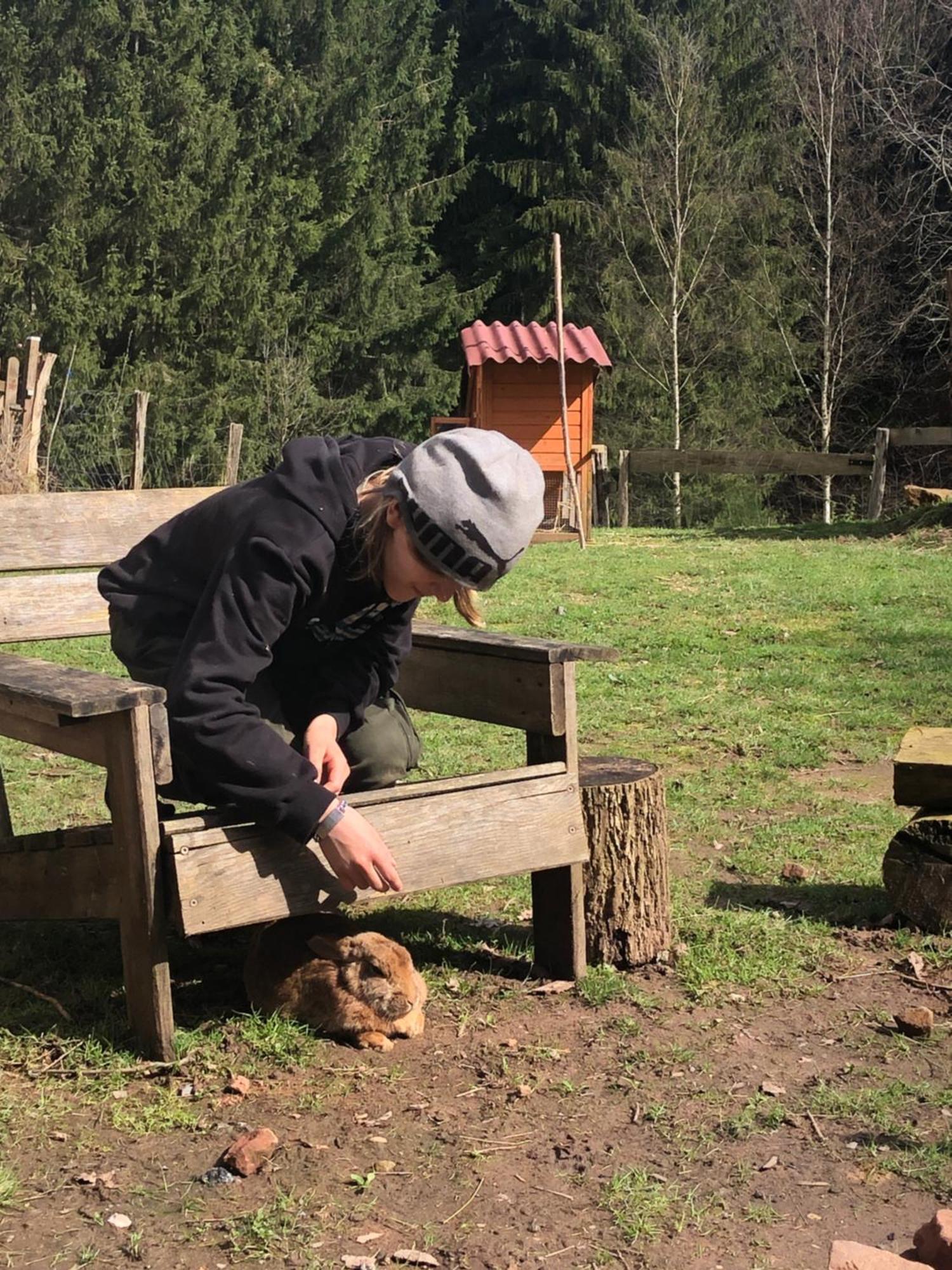 Saint-Sauveur  A L'Oree De Soi - Maison Forestiere De La Soie - Eco Gite, Chambres D'Hotes, Camping Au Pied Des Vosges מראה חיצוני תמונה