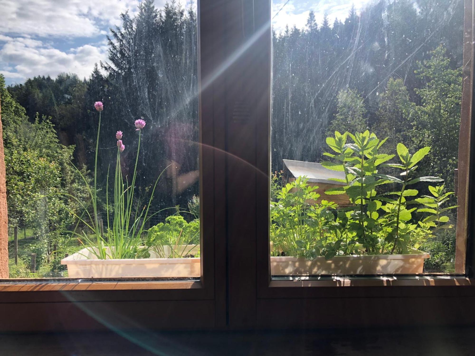 Saint-Sauveur  A L'Oree De Soi - Maison Forestiere De La Soie - Eco Gite, Chambres D'Hotes, Camping Au Pied Des Vosges מראה חיצוני תמונה