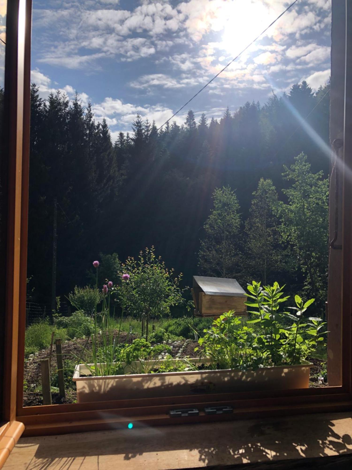 Saint-Sauveur  A L'Oree De Soi - Maison Forestiere De La Soie - Eco Gite, Chambres D'Hotes, Camping Au Pied Des Vosges מראה חיצוני תמונה