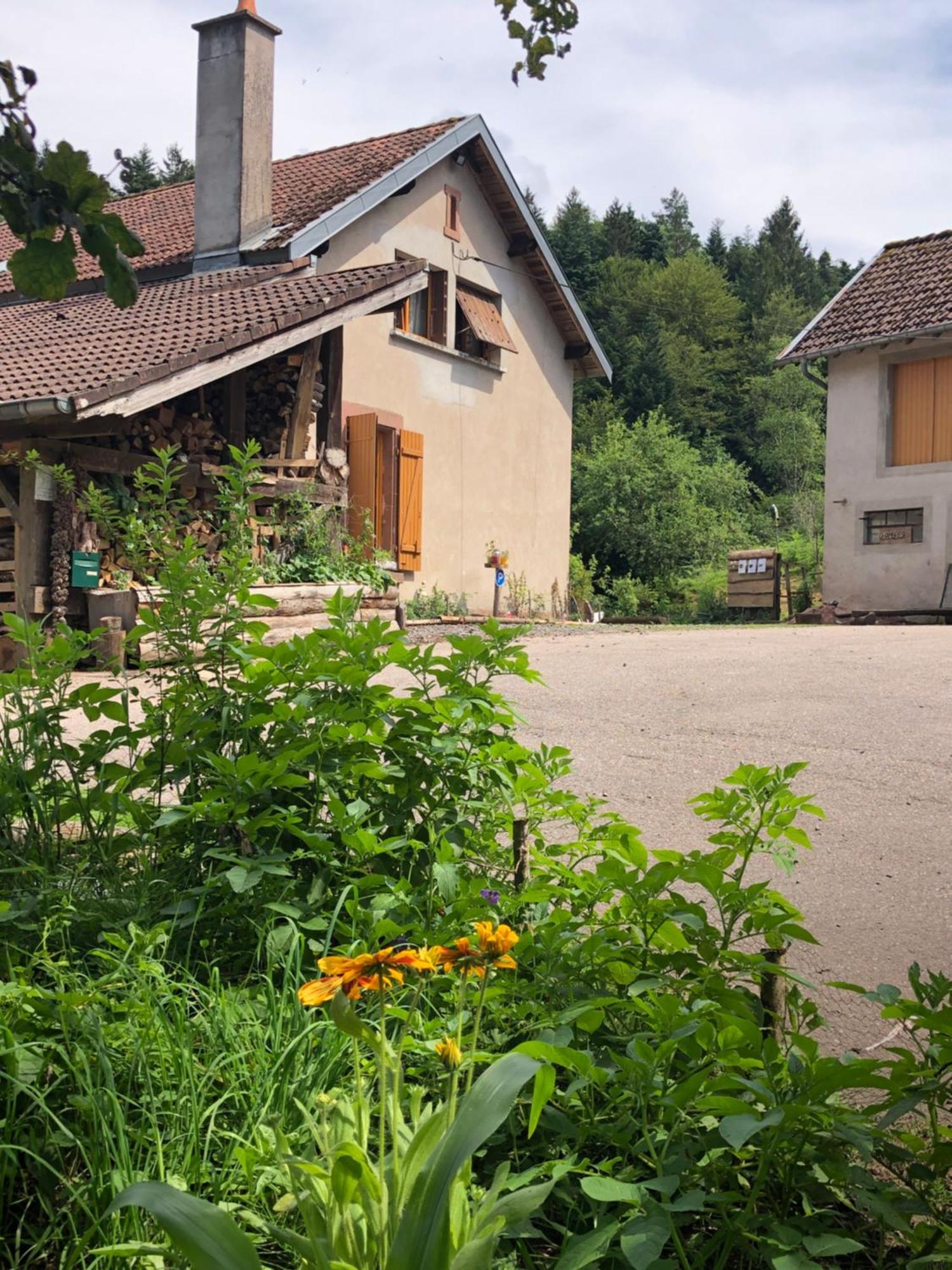 Saint-Sauveur  A L'Oree De Soi - Maison Forestiere De La Soie - Eco Gite, Chambres D'Hotes, Camping Au Pied Des Vosges מראה חיצוני תמונה