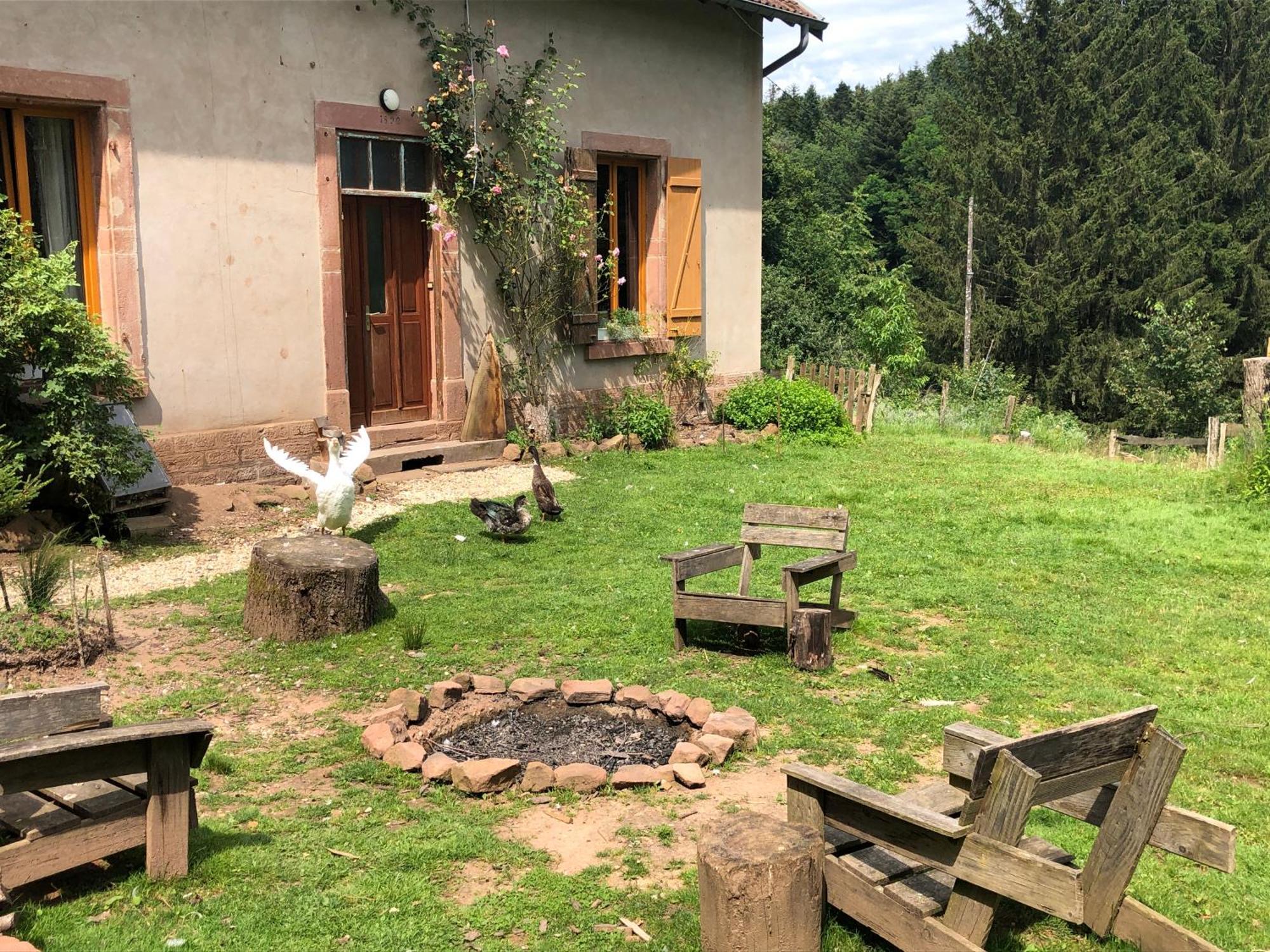 Saint-Sauveur  A L'Oree De Soi - Maison Forestiere De La Soie - Eco Gite, Chambres D'Hotes, Camping Au Pied Des Vosges מראה חיצוני תמונה