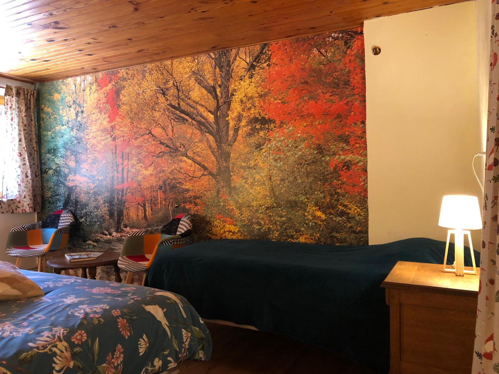 Saint-Sauveur  A L'Oree De Soi - Maison Forestiere De La Soie - Eco Gite, Chambres D'Hotes, Camping Au Pied Des Vosges מראה חיצוני תמונה