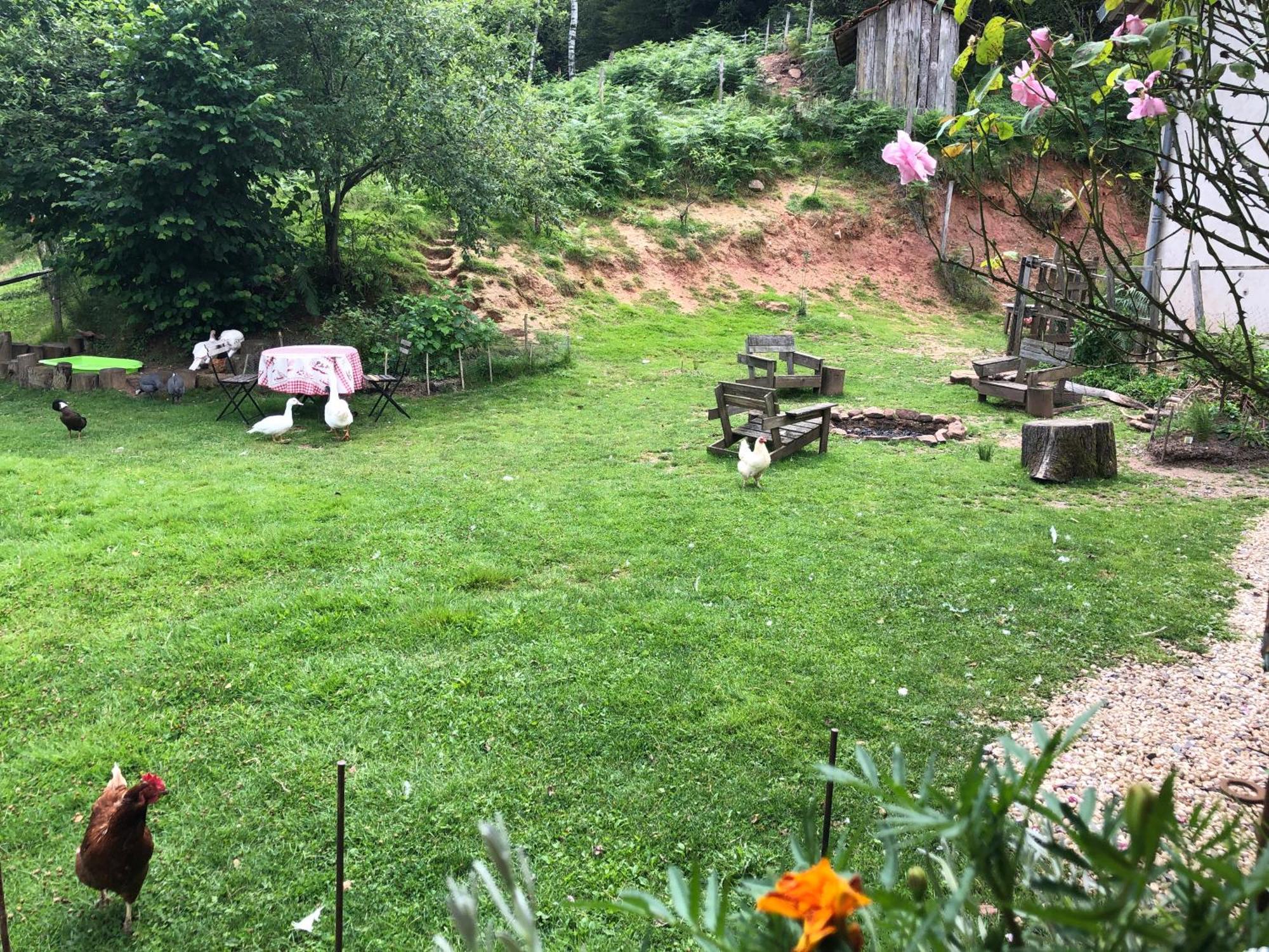 Saint-Sauveur  A L'Oree De Soi - Maison Forestiere De La Soie - Eco Gite, Chambres D'Hotes, Camping Au Pied Des Vosges מראה חיצוני תמונה